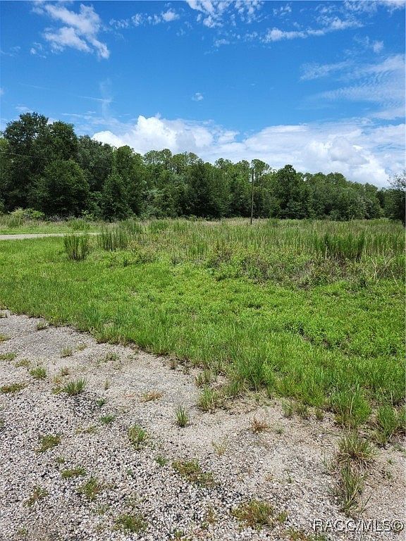 555 E Hope Pl Citrus Springs, FL 34434  | Land/Lot