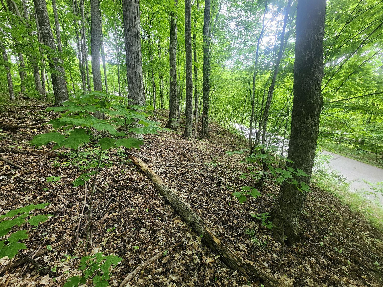 V/l 123ac Hlywa Dr Gaylord, MI 49735  | Land/Lot