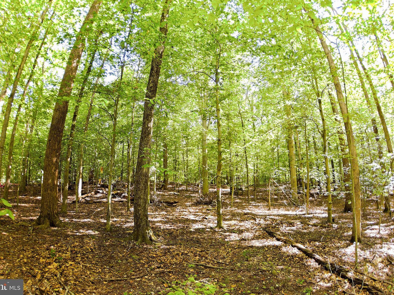 Laurel Dr Accokeek, MD 20607  | Land/Lot