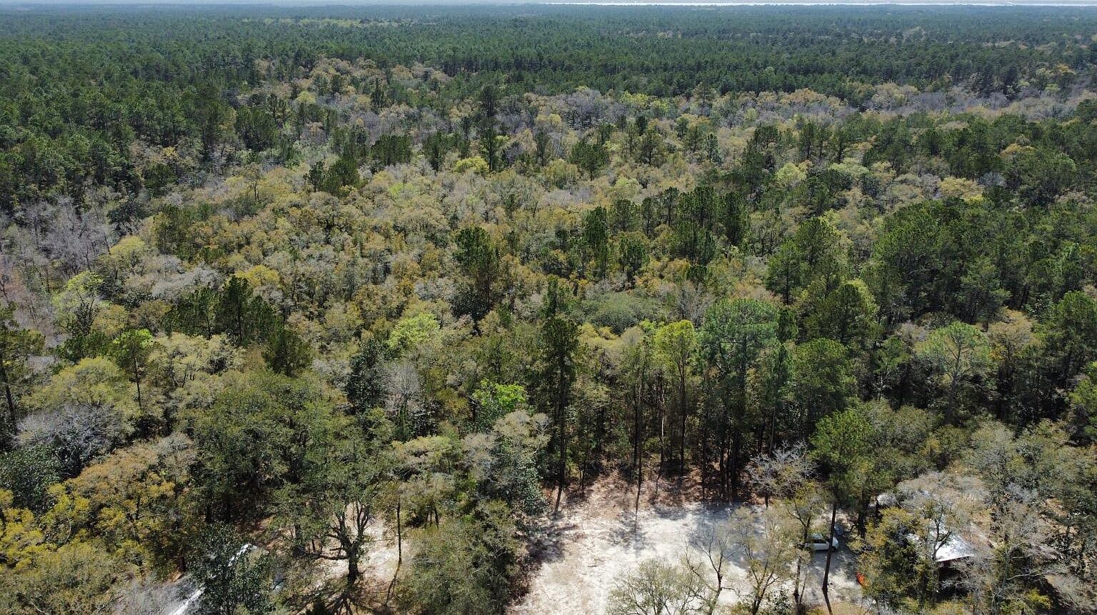 1XX Canary Dr Freeport, FL 32439  | Land/Lot