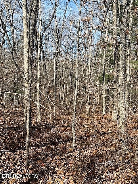 9142 Weketa Cir Crossville, TN 38572 | Land/Lot