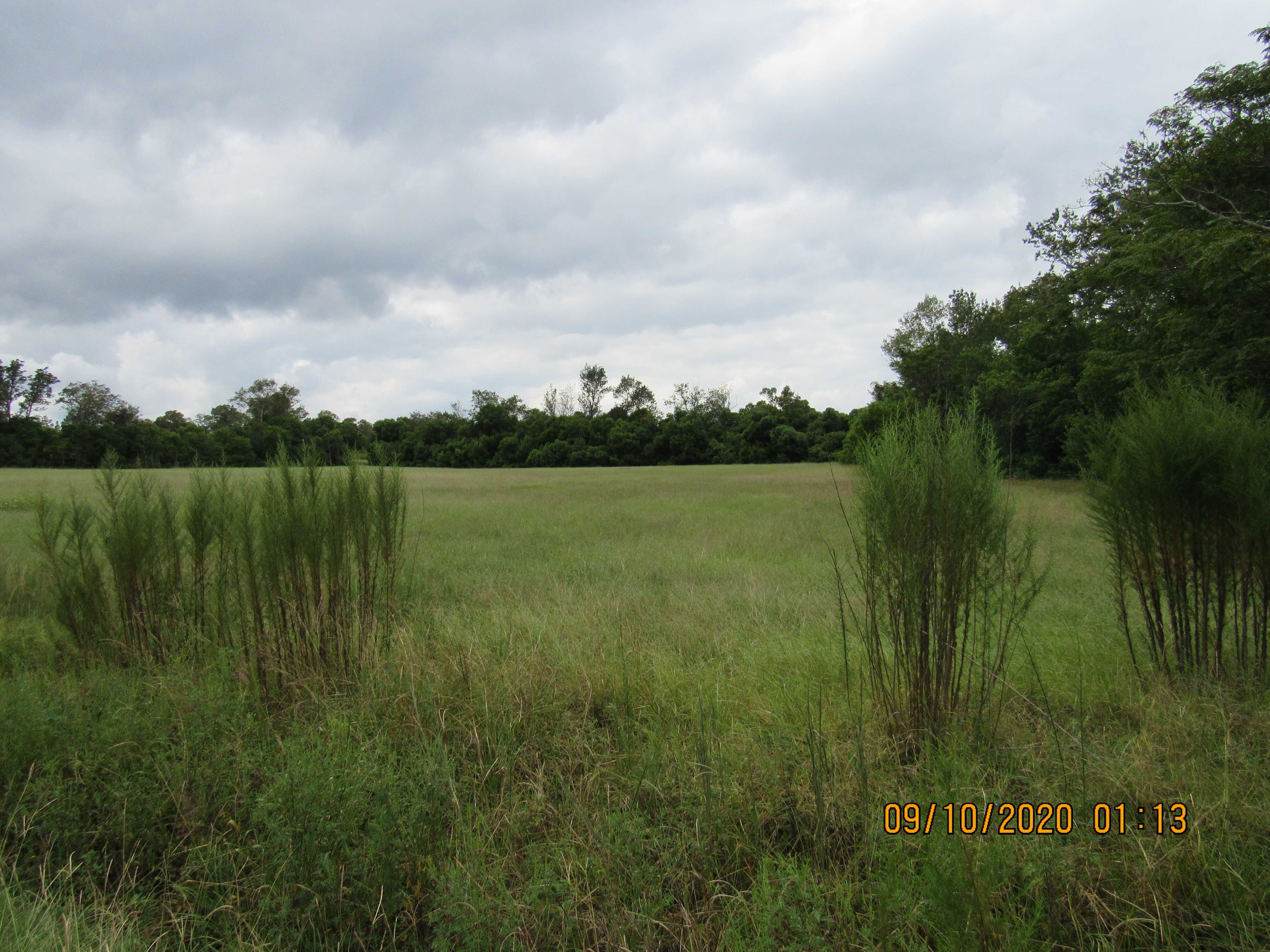 0 Wire Road, Monetta, SC, 29105  | Land/Lot
