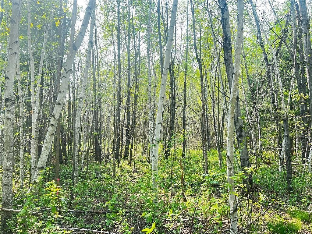 LOT 12 25 1/2 St Chetek, WI 54728  | Land/Lot
