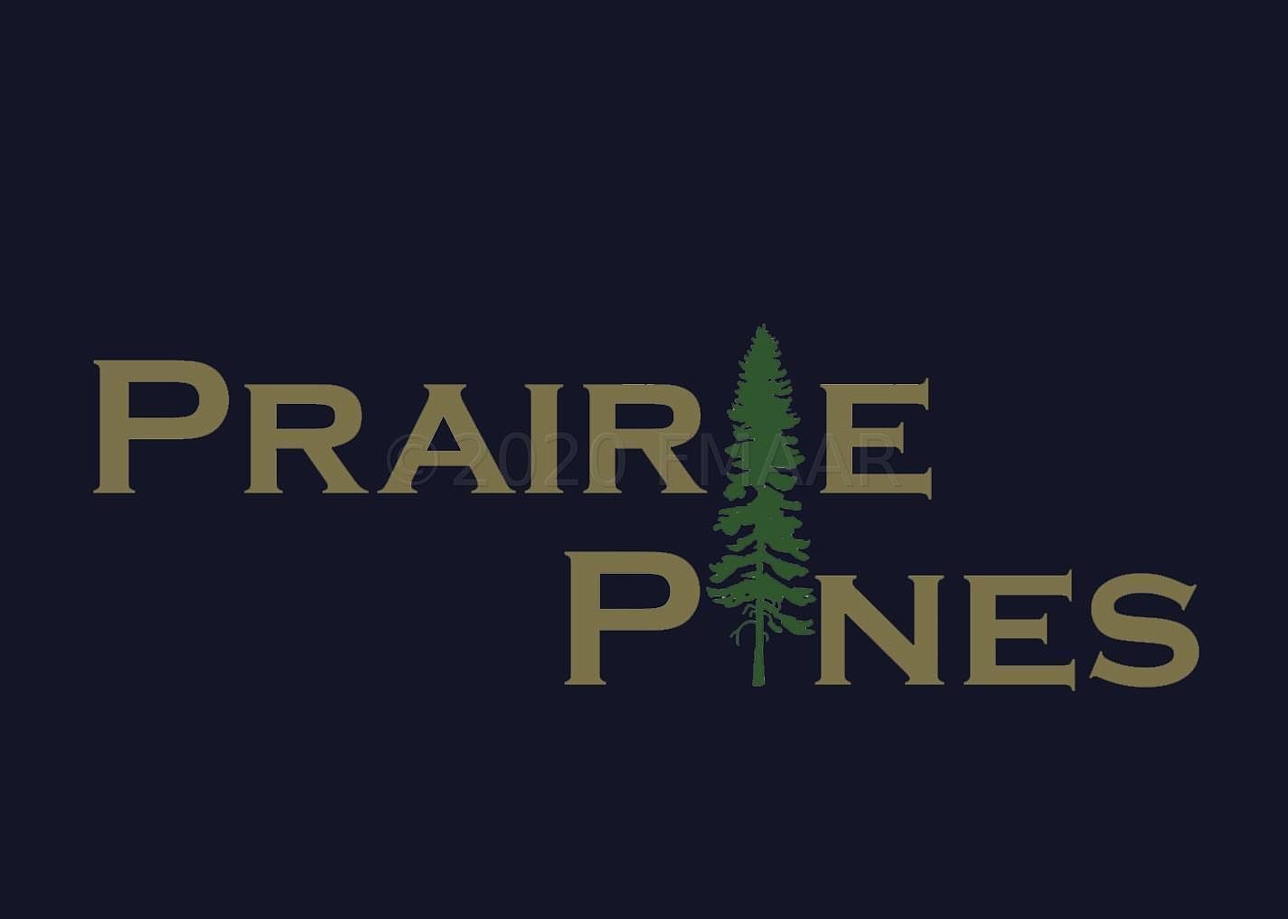 308 Pine Dr Hankinson, ND 58041 | Land/Lot