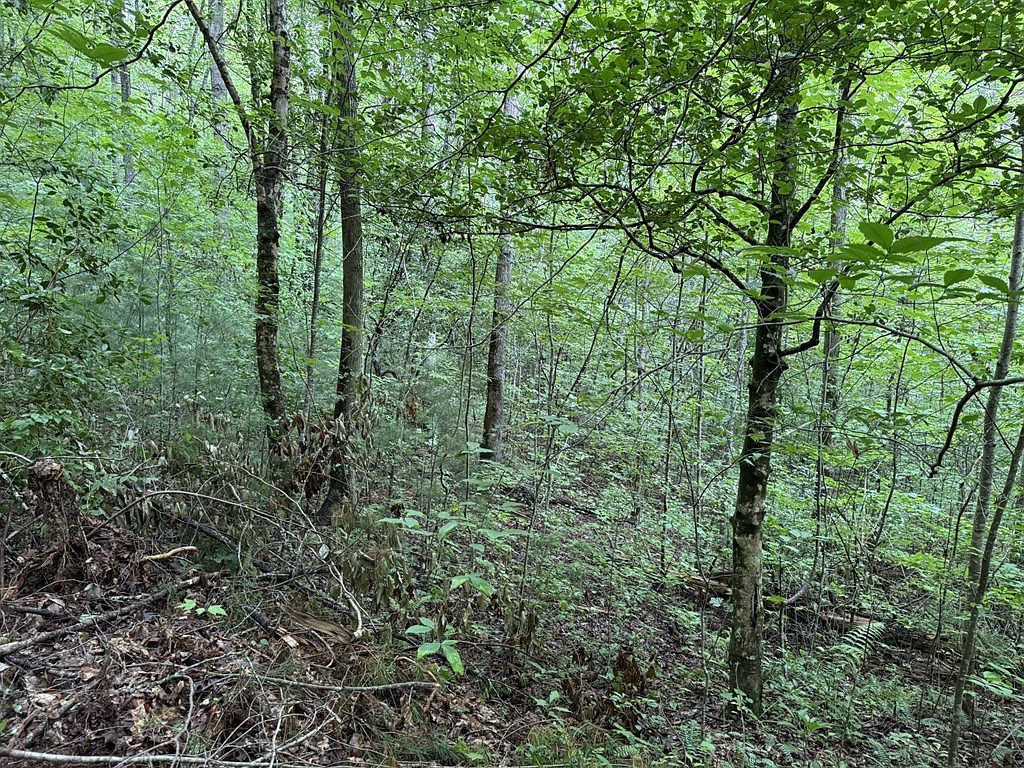 0 Owl Creek Rd Murphy, NC 28906  | Land/Lot