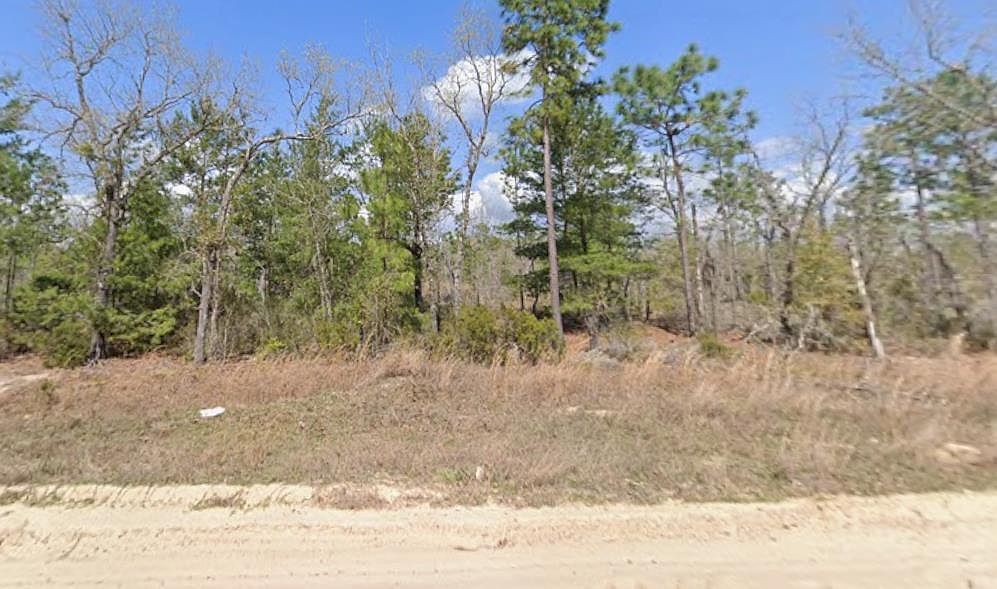 0 Martindale Ave Interlachen, FL 32148  | Land/Lot