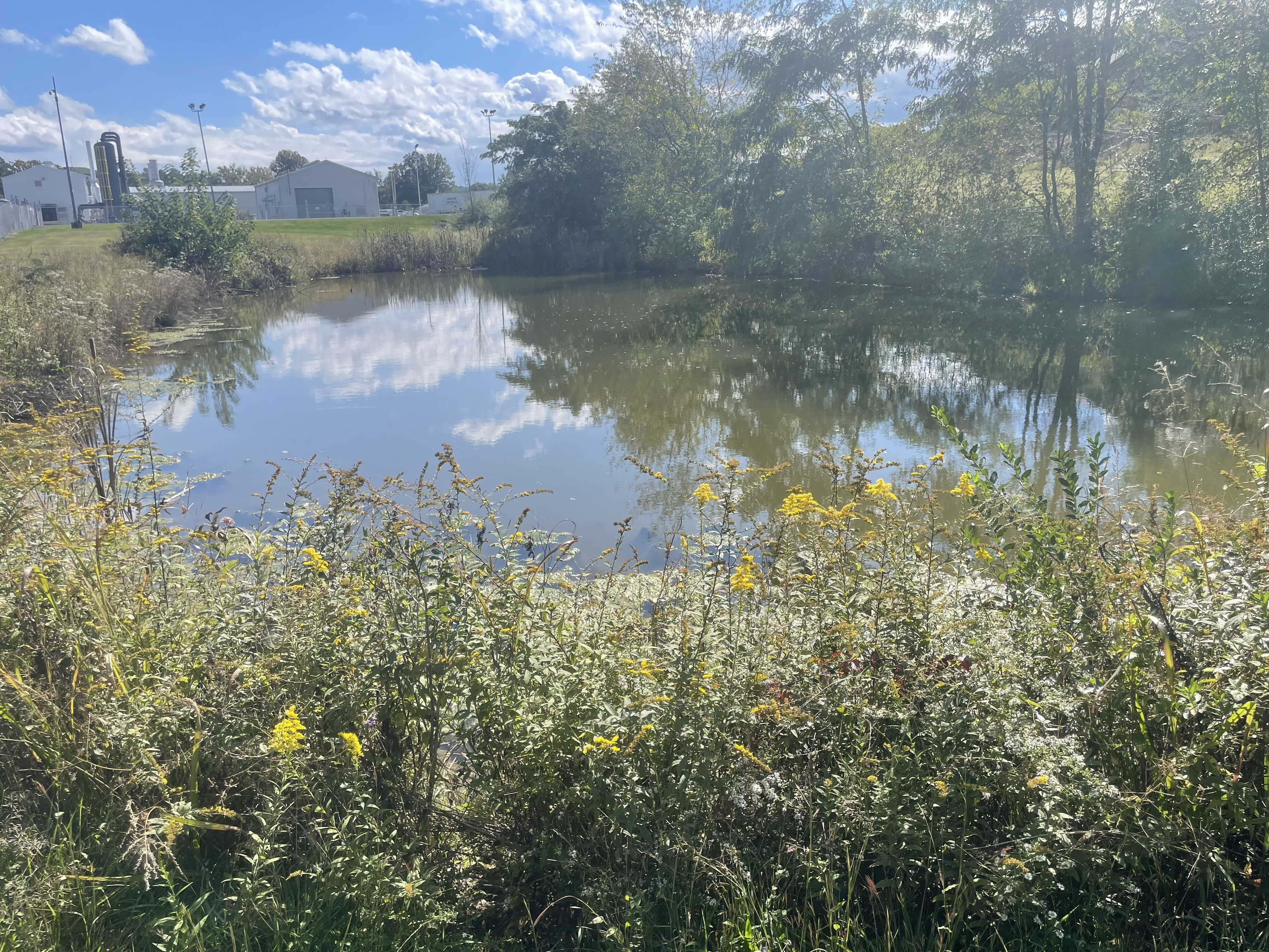 6622 Old Mill Road, Jane Lew, WV, USA, 26378 - Thumbnail 5