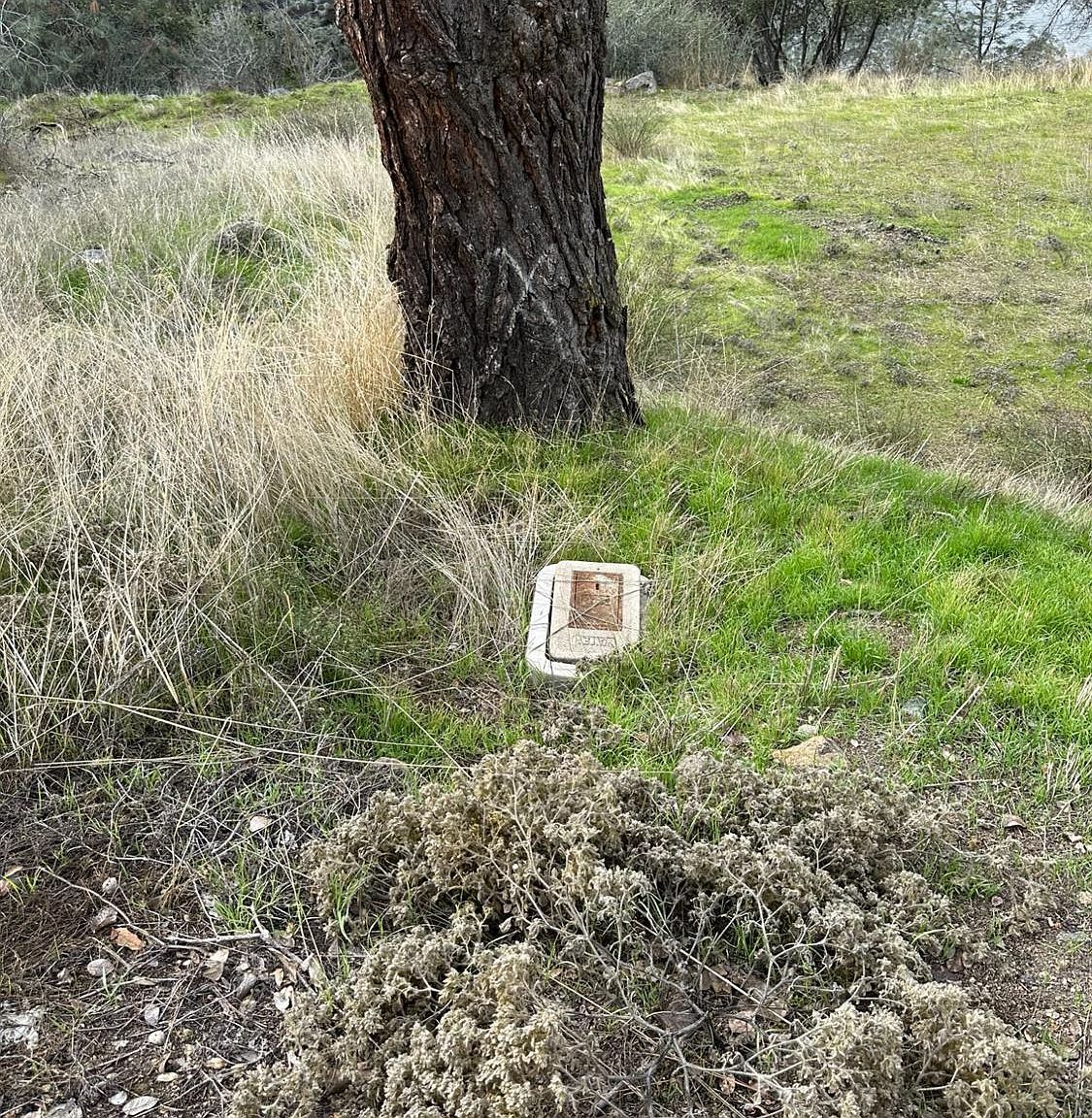 27767 Sky Harbour Rd Friant, CA 93626  | Land/Lot