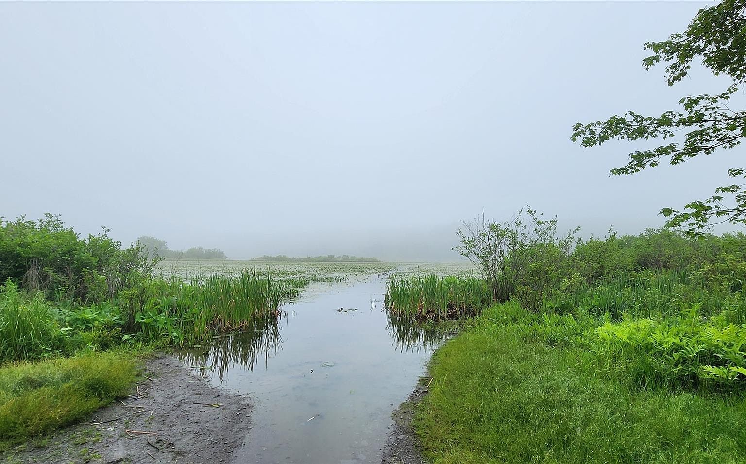 127 Benneywater Rd Port Jervis, NY 12771  | Land/Lot