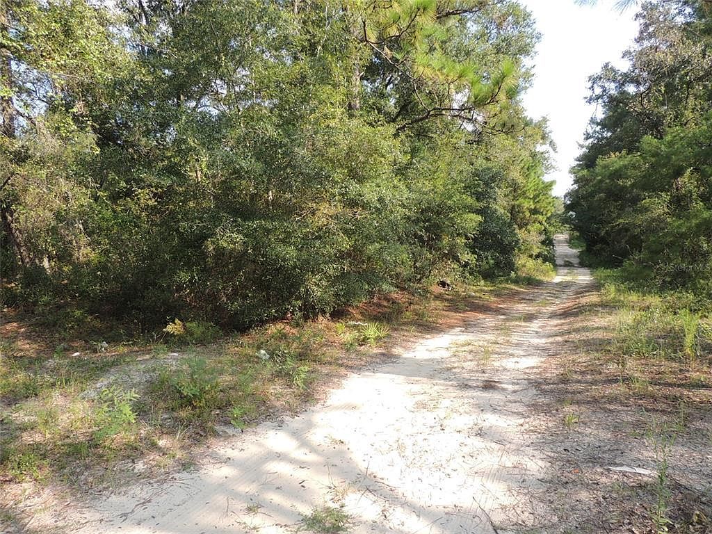 7550 NE 95th Ave Bronson, FL 32621 | Land/Lot