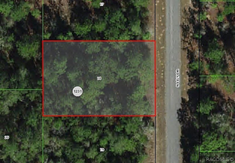 9538 N Lily Dr Citrus Springs, FL 34434 | Land/Lot