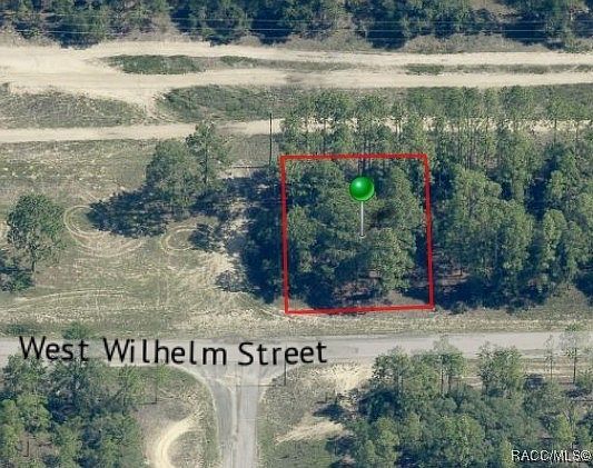 3131 W Wilhelm St Citrus Springs, FL 34433  | Land/Lot