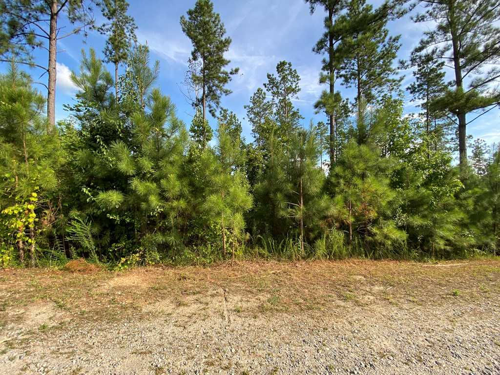 Lot 18 Expedition Lane, Littleton, NC, 27850 - Thumbnail 5