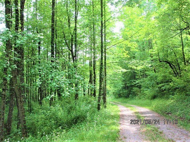 L17 Owl Creek & Panther Murphy, NC 28906  | Land/Lot