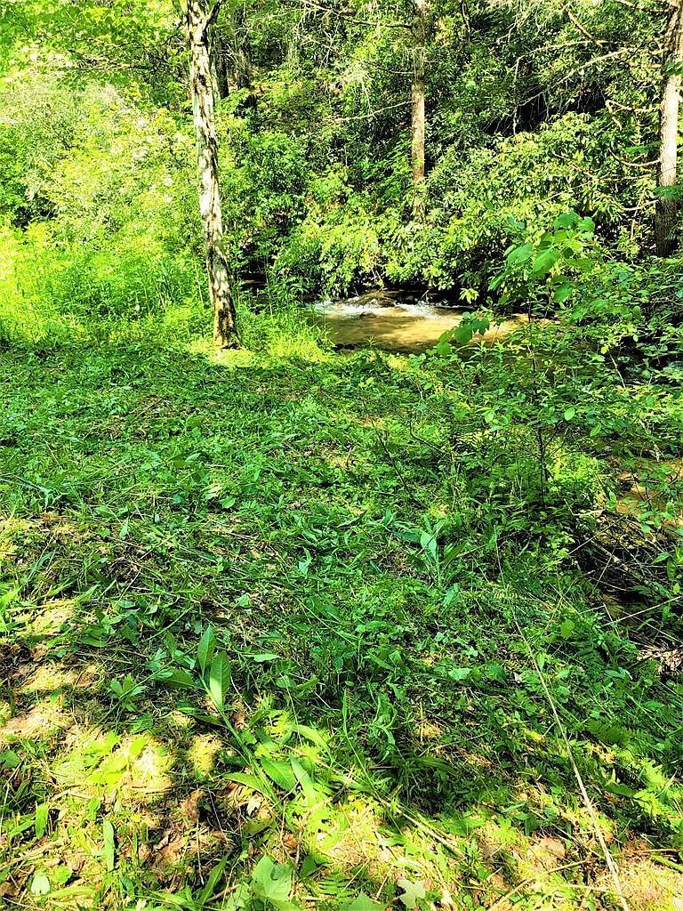 L17 Panther Springs Rd Murphy, NC 28906  | Land/Lot