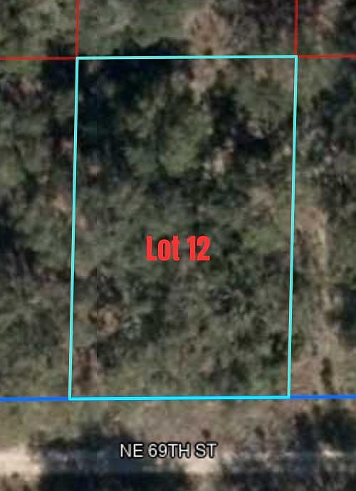 0 NE 69th St Williston, FL 32696 | Land/Lot