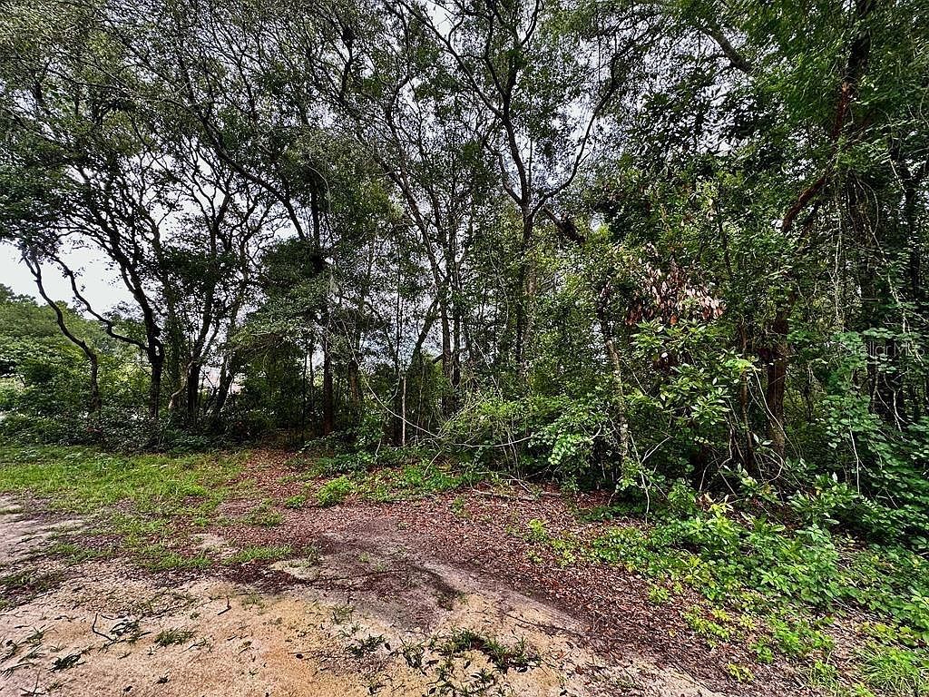 NW 76th Ter #10 Chiefland, FL 32626  | Land/Lot