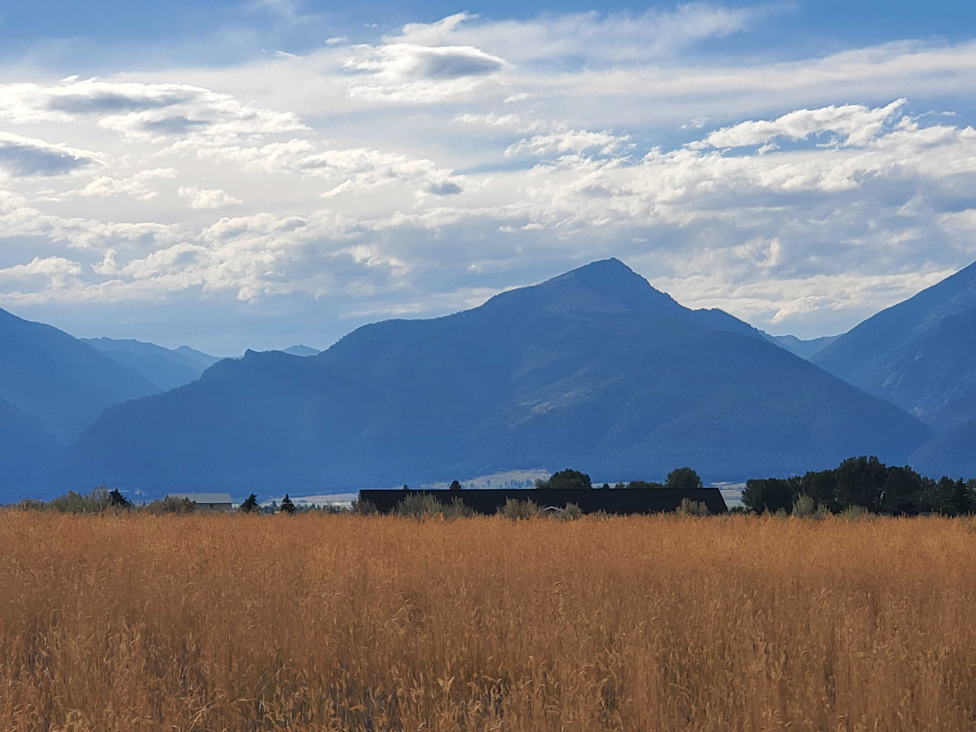 Bessie Lane, Stevensville, MT, 59870  | Land/Lot