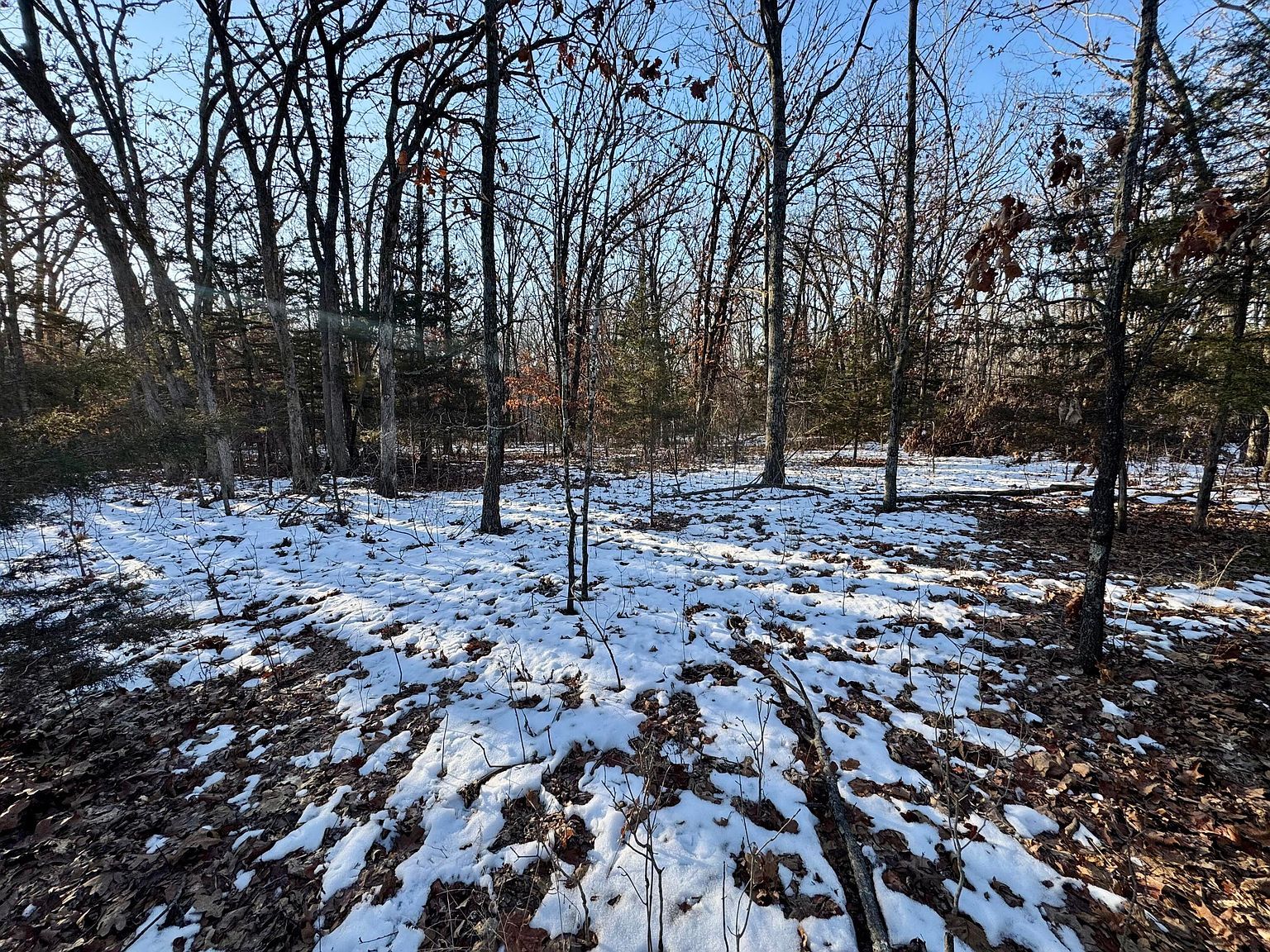 TRACT 3 E Mount Zion Church Rd Hallsville, MO 65255  | Land/Lot