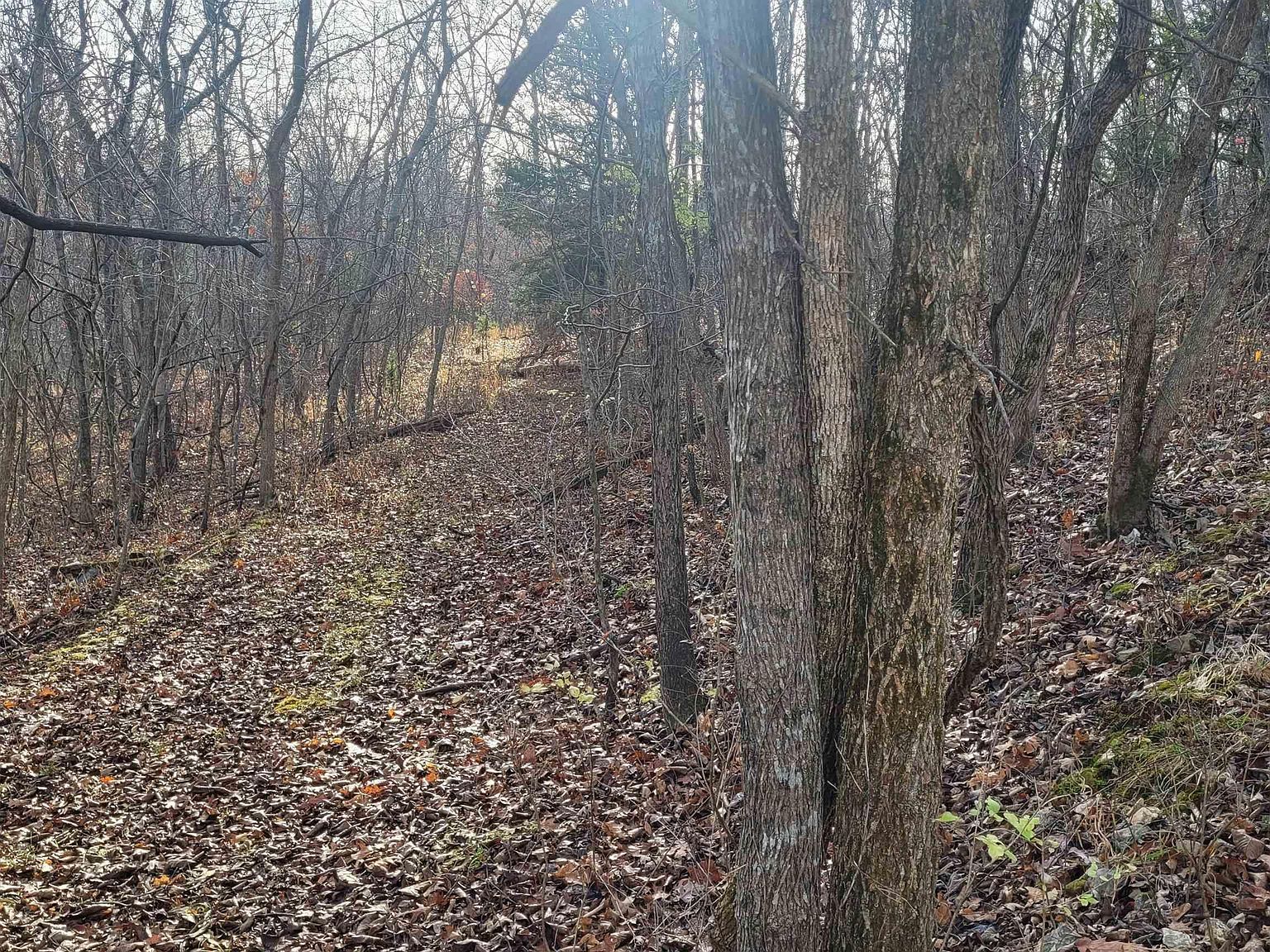 L-45 Stag Dr Edwards, MO 65326  | Land/Lot