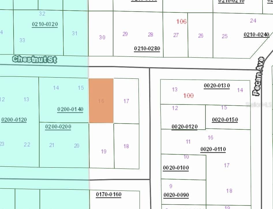 113 Chestnut St Interlachen, FL 32148  | Land/Lot