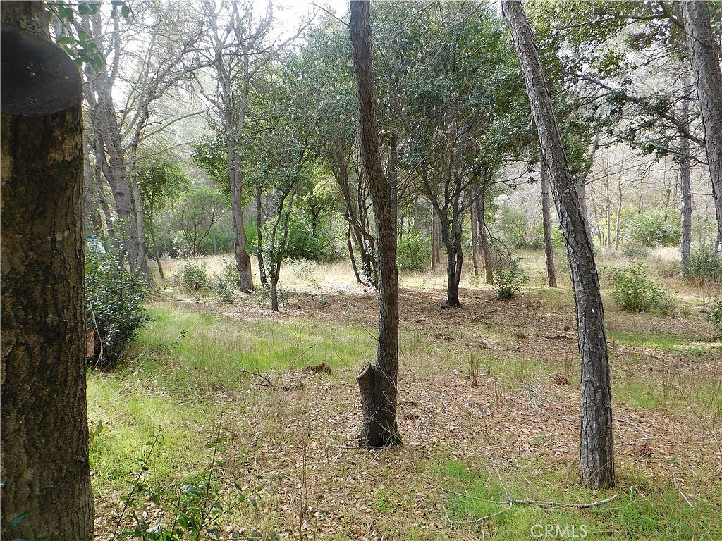 5834 Spruce Ave #25 Clearlake, CA 95422  | Land/Lot