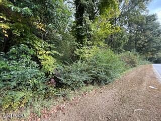 2 Galestown Rd Rockingham, NC 28379  | Land/Lot