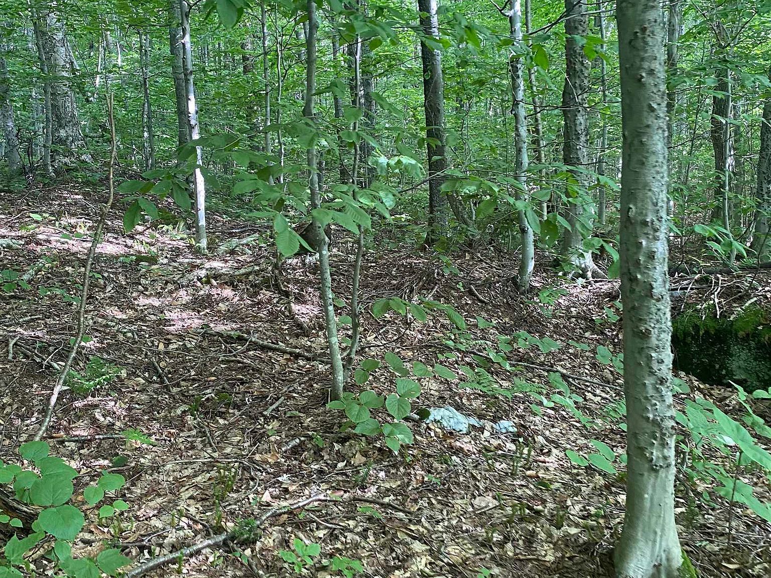 0 Maple St North Troy, VT 05859  | Land/Lot