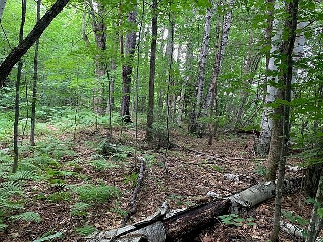 0 Leonard Rd South Royalton, VT 05068  | Land/Lot