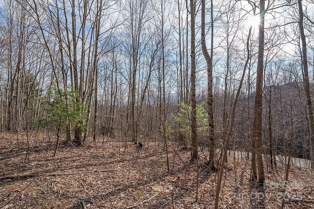 52 Pinnacle Vw Elk Park, NC 28622  | Land/Lot