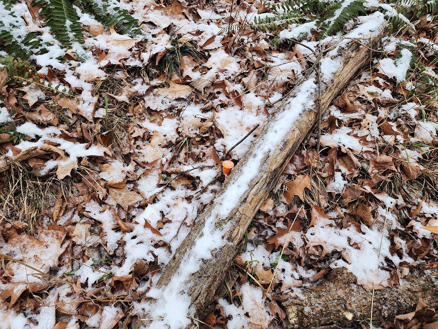 Greater Antilles Ct LOT 91 Du Bois, PA 15801 | Land/Lot