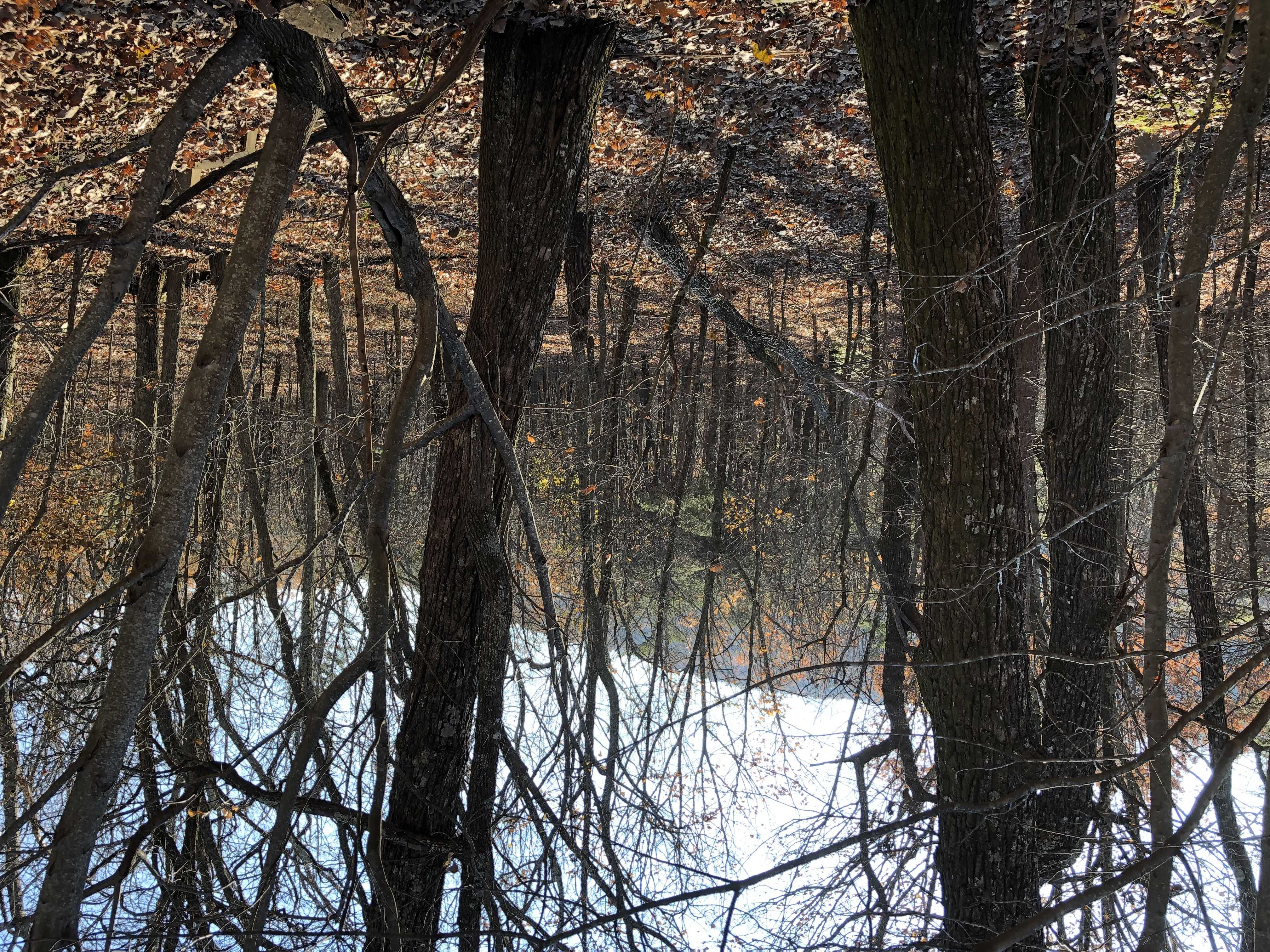 Sharp Mountain Parkway, Jasper, GA, USA, 30143  | Land/Lot