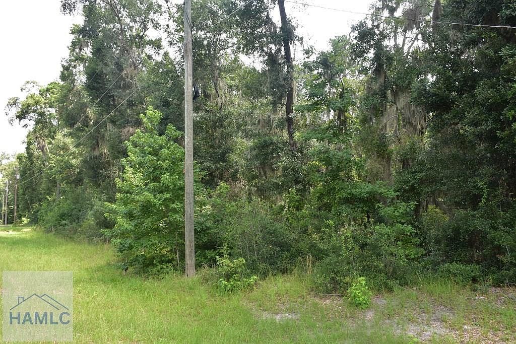 42 Japonica Dr Midway, GA 31320  | Land/Lot