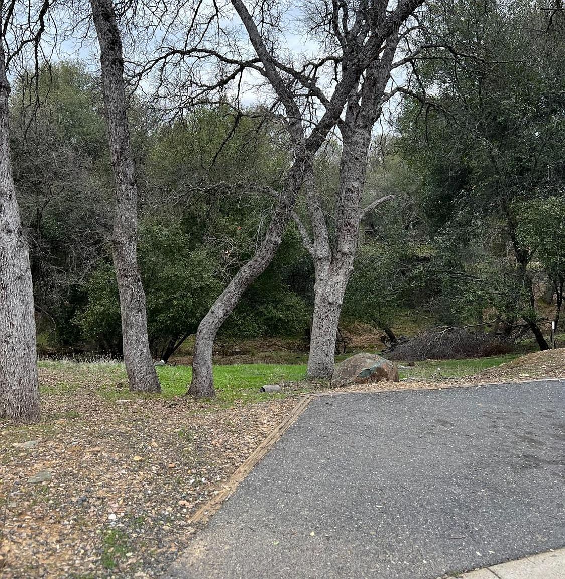 733 Grinding Rock Rd Angels Camp, CA 95222 | Land/Lot