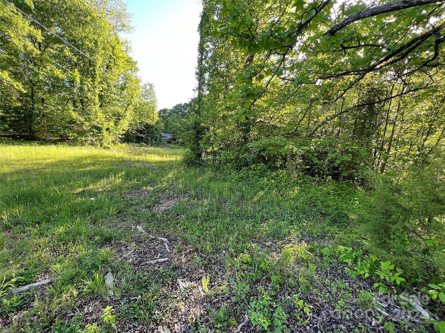 3375 State Highway 126 Morganton, NC 28655  | Land/Lot