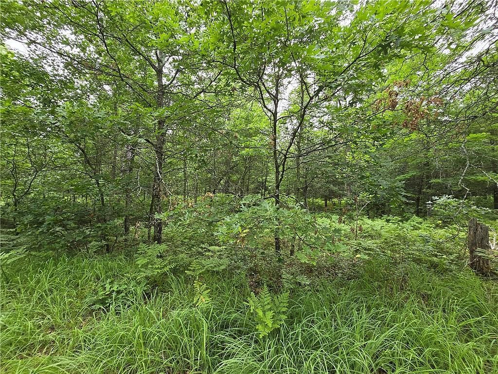Saylors Ln Siren, WI 54872  | Land/Lot