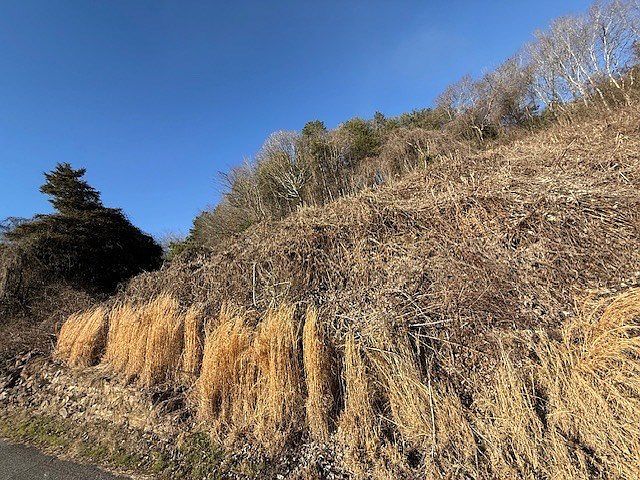 LOT Main St Copperhill, TN 37317  | Land/Lot