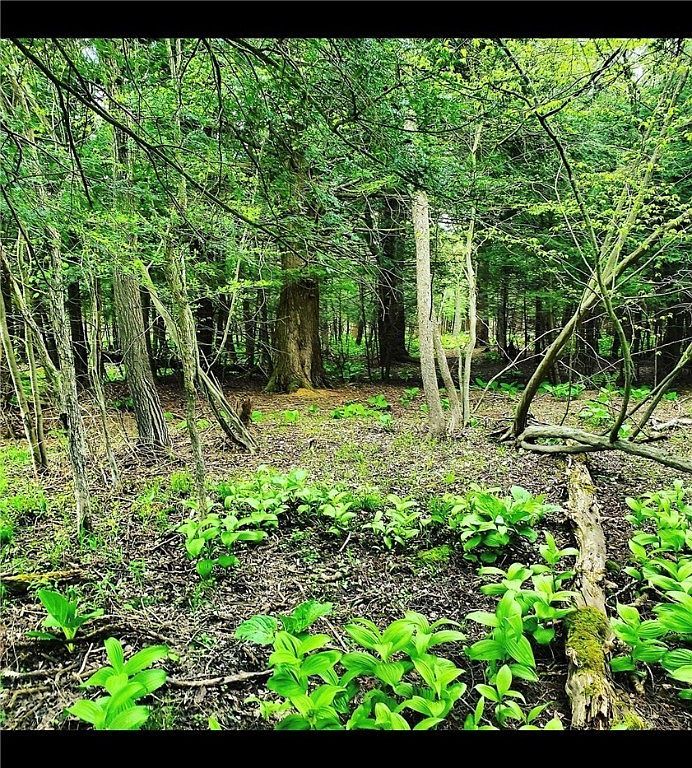 3239 Route 39 #18 Bliss, NY 14024 | Land/Lot