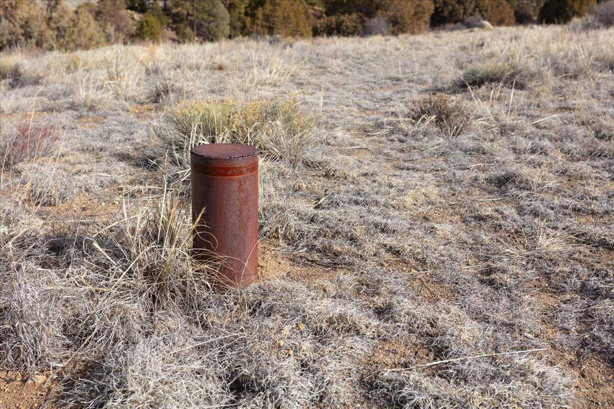 County Road 196, Nathrop, CO, USA, 81236  | Land/Lot