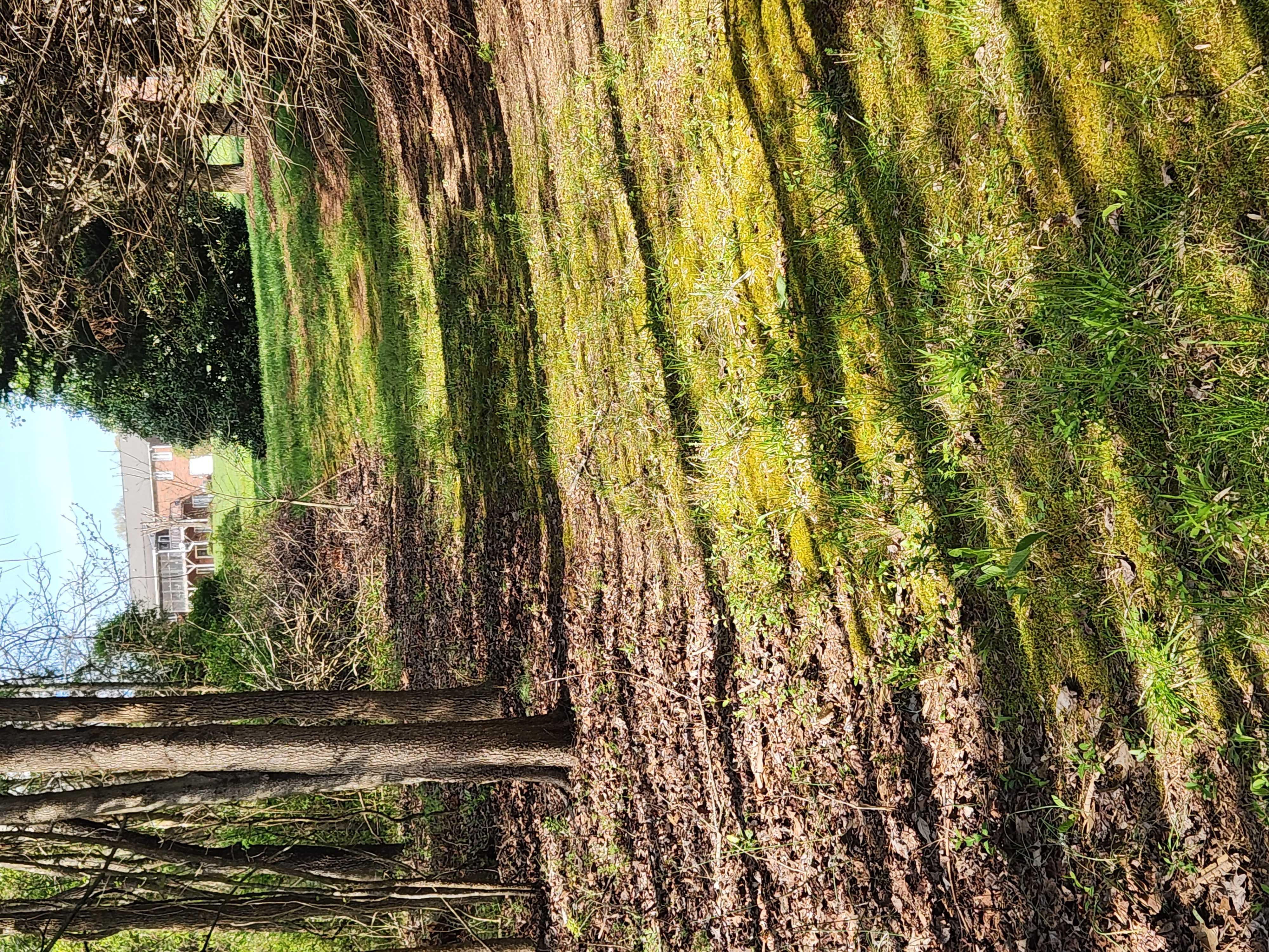 301 Seven Springs Loop, Statesville, NC, 28677 | Land/Lot