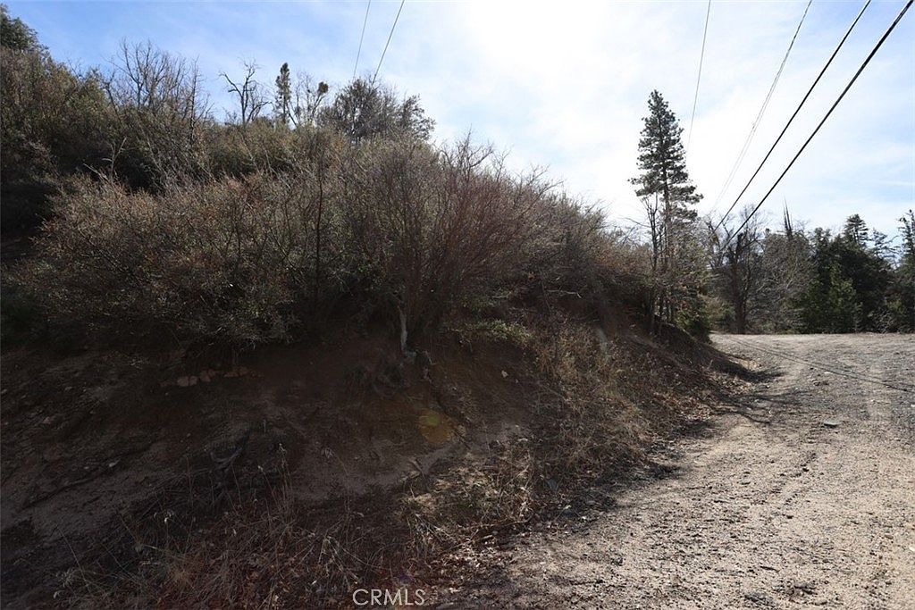 717 Acacia Rd Cedar Glen, CA 92321  | Land/Lot