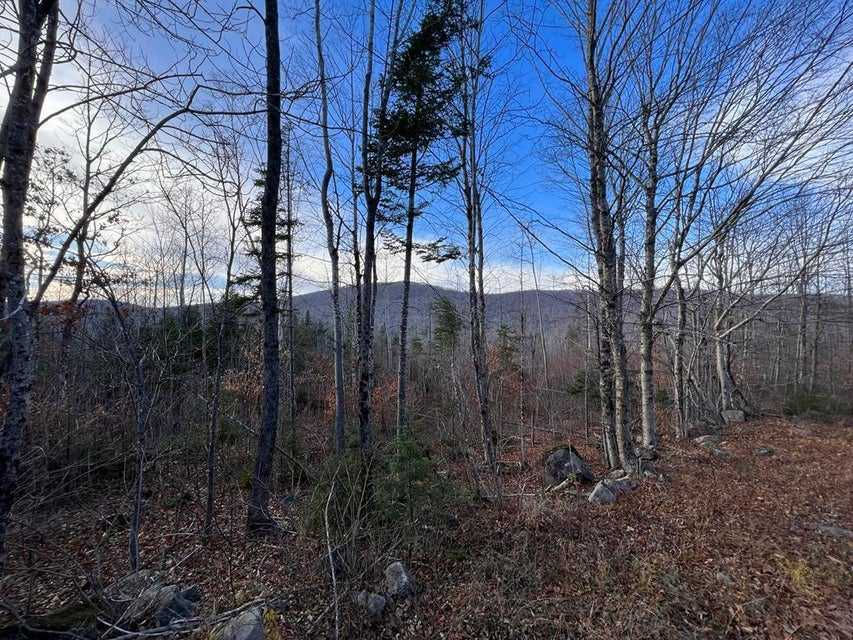 Upper Lot 7-2 Brown Road, Oakfield, ME, 4763  | Land/Lot
