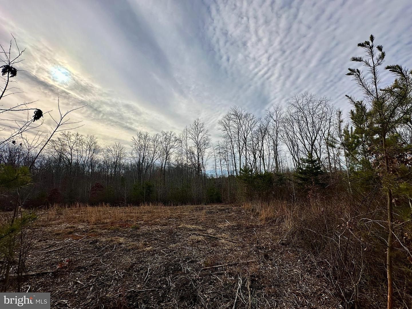 2 Belsches Rd Bumpass, VA 23024 | Land/Lot