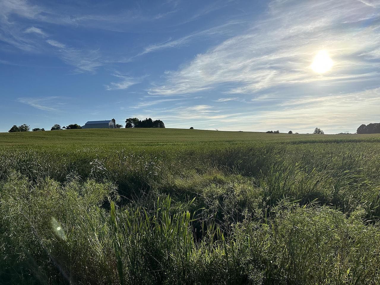 LT 0 Badger Dr Kewaskum, WI 53040  | Land/Lot