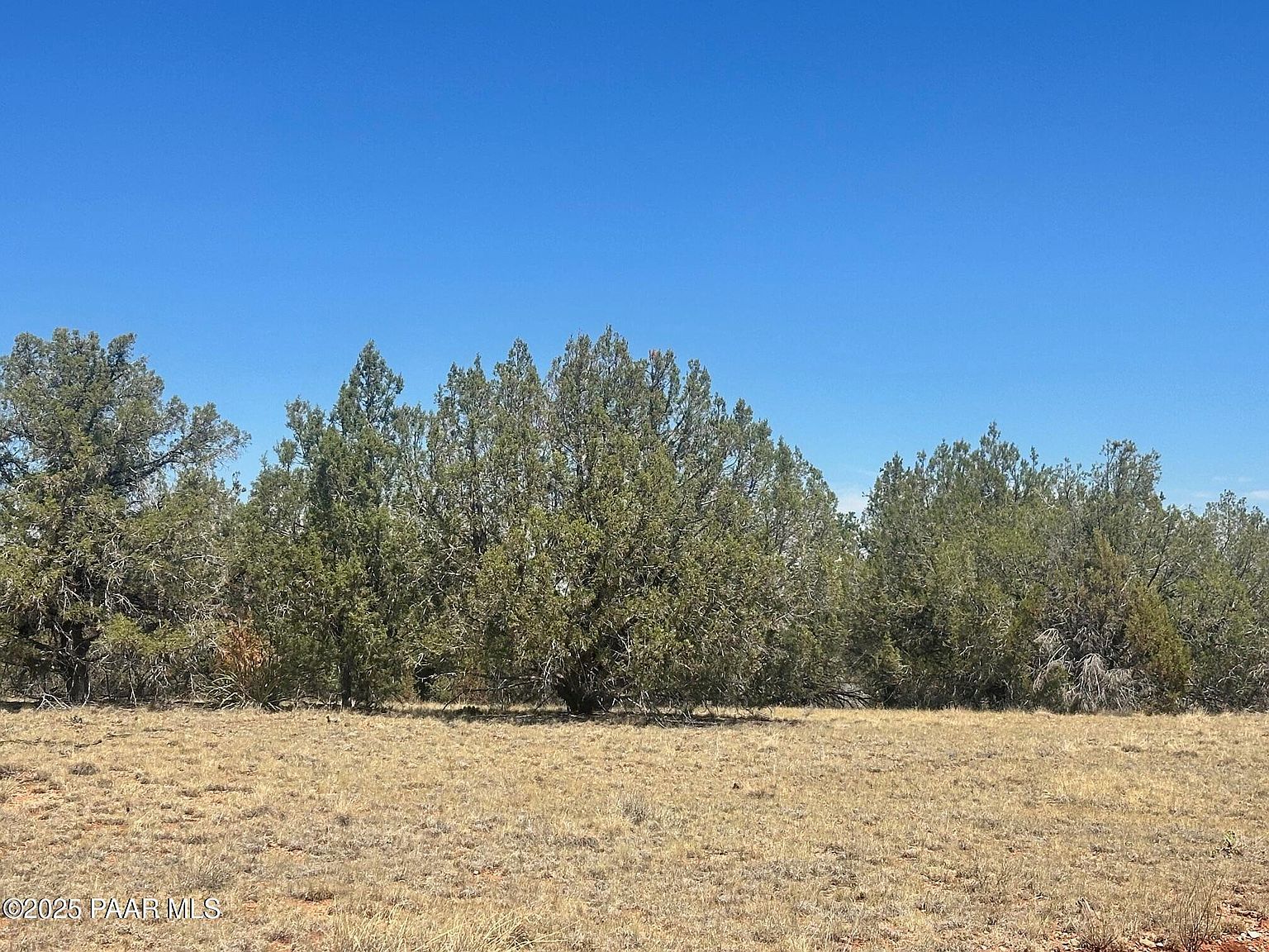 32970 W Forest Ln Seligman, AZ 86337  | Land/Lot