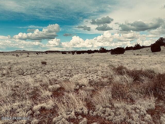 424N W Deliverance Rd Seligman, AZ 86337  | Land/Lot