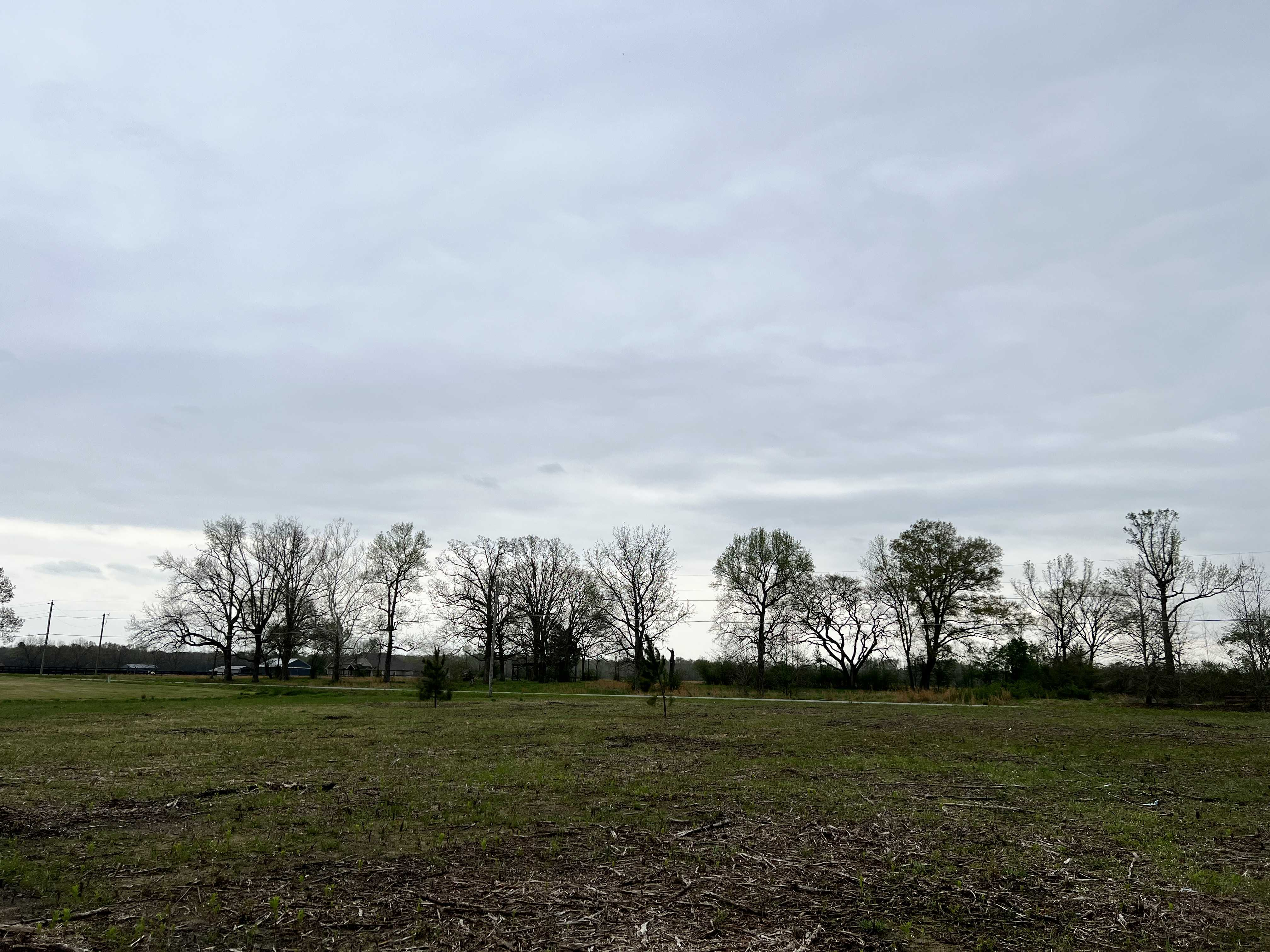 000 Cocklebur Road, Ward, AR, 72176 - Thumbnail 4