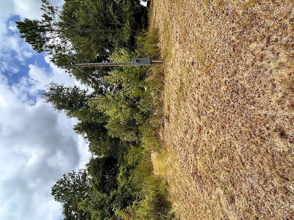 1941 Mora Rd Willacoochee, GA 31650  | Land/Lot