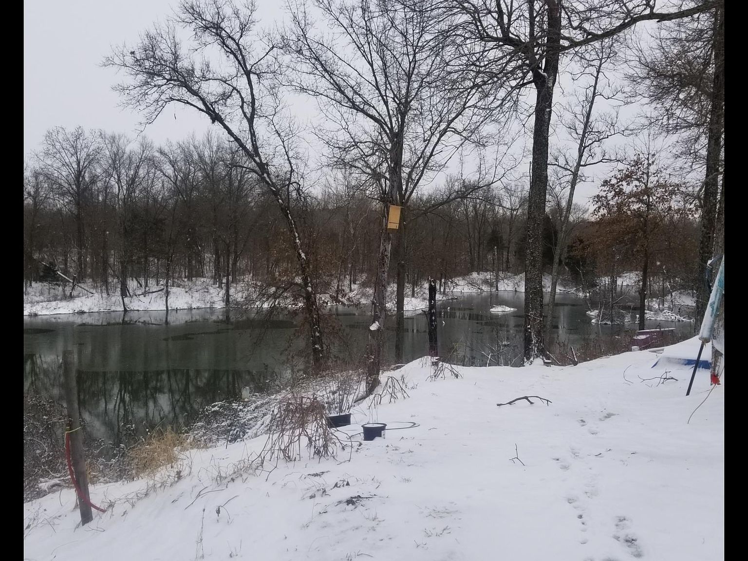 208 Dewmaine School Rd Carterville, IL 62918  | Land/Lot