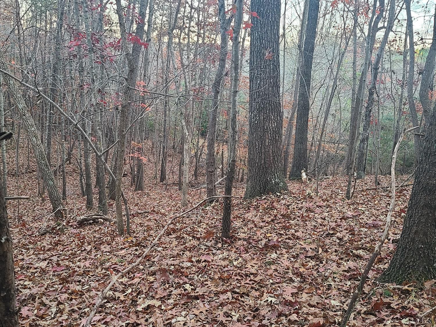 0 Ashwell Ridge Dr #14 Huddleston, VA 24104 | Land/Lot